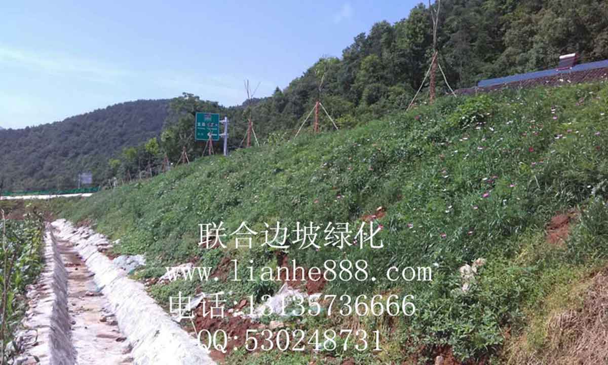 貴州、安順滬昆高鐵項(xiàng)目
